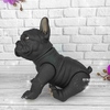 Французский бульдог. Baby Bulldog Frances, арт. 724590, 36 см - 5
