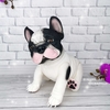 Французский бульдог. Baby Bulldog Frances, арт. 724576, 36 см - 3