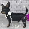 Чихуахуа. Baby Chihuahua, арт. 893951, 25 см - 4