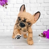 Французский бульдог. Baby Bulldog Frances, арт. 724583, 36 см - 3