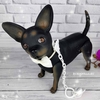 Чихуахуа. Baby Chihuahua, арт. 893951, 25 см